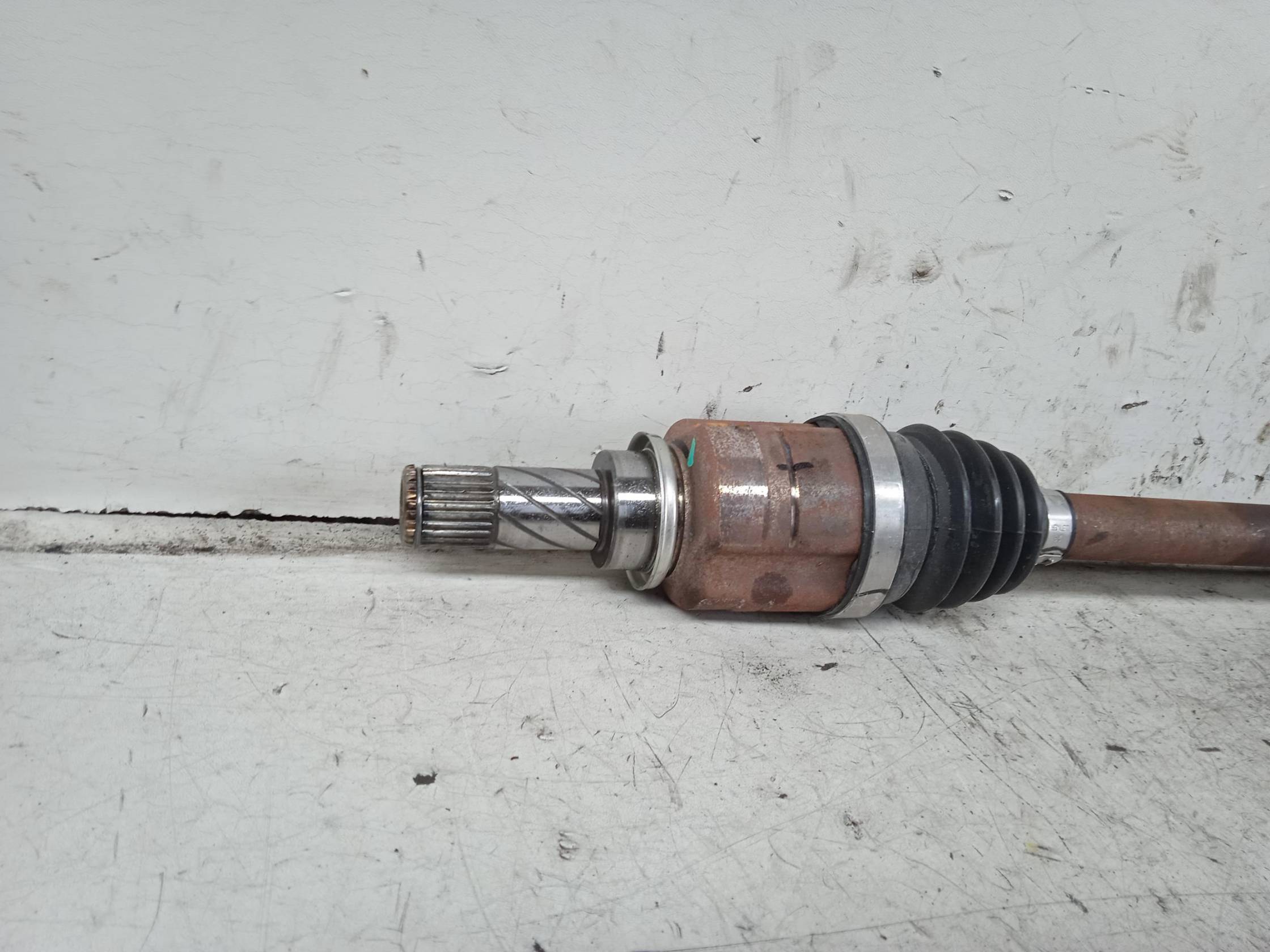 Semialbero ant. compl. dx.